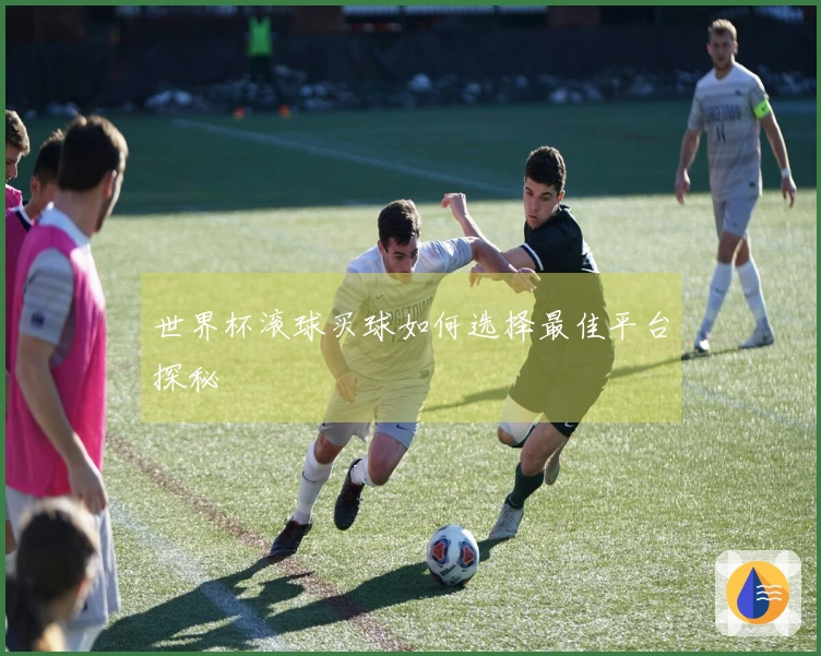 世界杯滚球买球如何选择最佳平台探秘