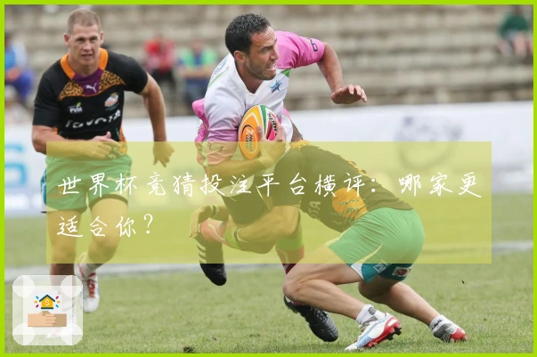 世界杯竞猜投注平台横评：哪家更适合你？